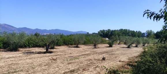 2 Schlafzimmer Haus in Alicante, Spain, Nr. 185779 30