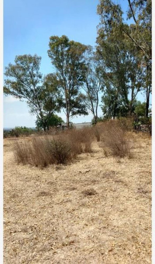  Land in Tepotzotlan, Mexico No. 202914