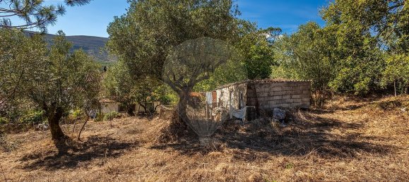 Дом с 3 спальнями в Порту ди Мош, Португалия № 28516 18