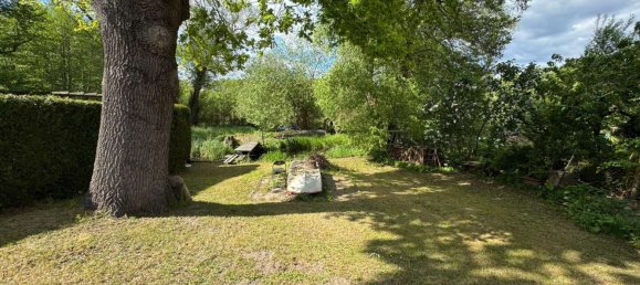 6 rooms House in Oberhavel, Germany No. 263227 23