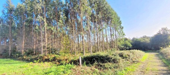  Land in A Coruna, Spain No. 48532 8