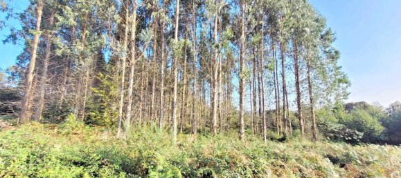  Land in A Coruna, Spain No. 48532 24