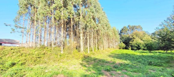  Land in A Coruna, Spain No. 48532 16