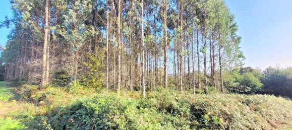  Land in A Coruna, Spain No. 48532 15