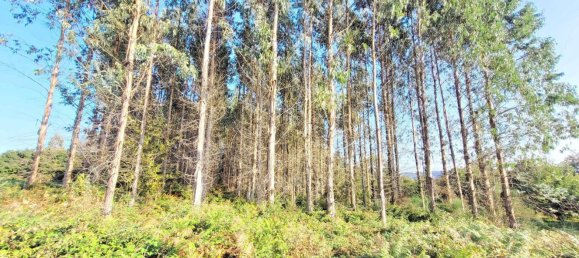  Land in A Coruna, Spain No. 48532 4