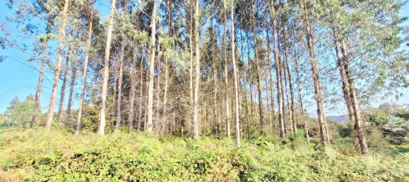  Land in A Coruna, Spain No. 48532 19