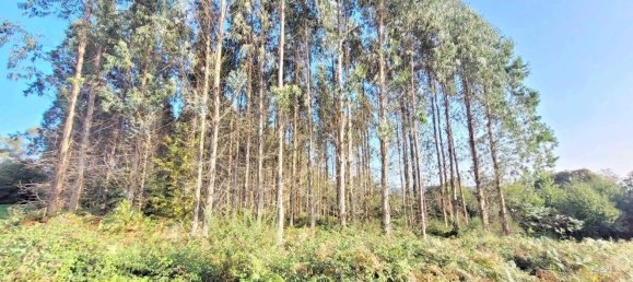  Land in A Coruna, Spain No. 48532 23