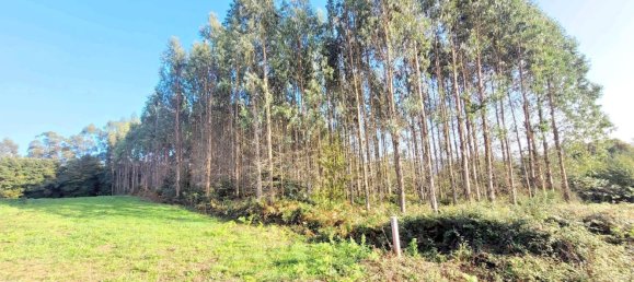  Land in A Coruna, Spain No. 48532 12