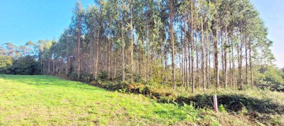  Land in A Coruna, Spain No. 48532 14