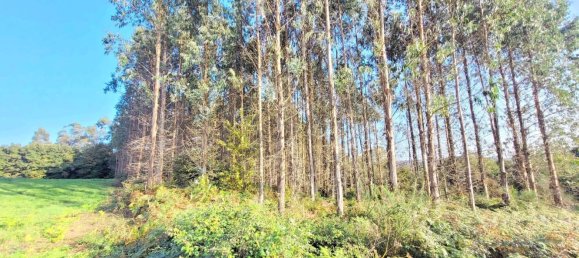  Land in A Coruna, Spain No. 48532 3