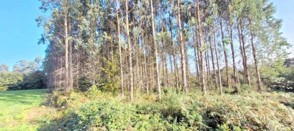  Land in A Coruna, Spain No. 48532 2