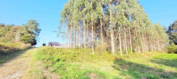  Land in A Coruna, Spain No. 48532 10