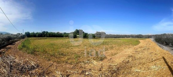8442m² Land in Tarragona, Spain No. 161271 6