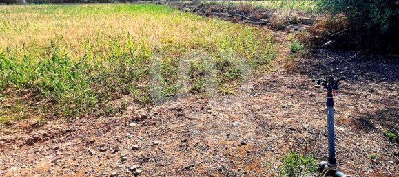 8442m² Land in Tarragona, Spain No. 161271 9