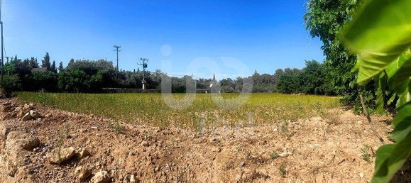 8442m² Land in Tarragona, Spain No. 161271 4