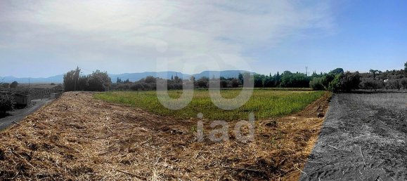 8442m² Land in Tarragona, Spain No. 161271 7