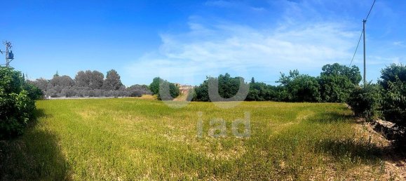 8442m² Land in Tarragona, Spain No. 161271 17