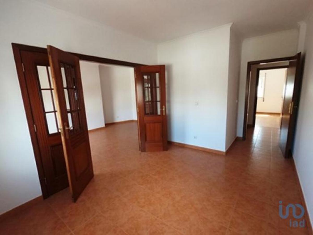 4 bedrooms Apartment in Beja, Portugal No. 1279