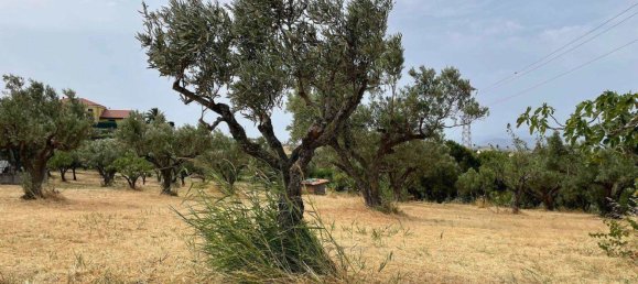 1670m² Land in Catanzaro, Italy No. 98730 7