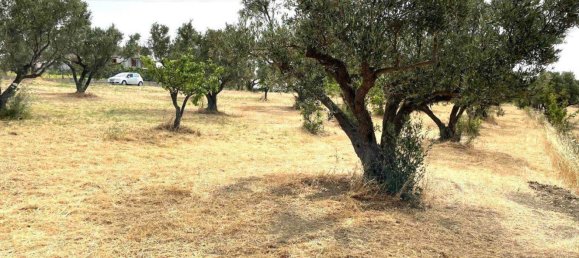 1670m² Land in Catanzaro, Italy No. 98730 5