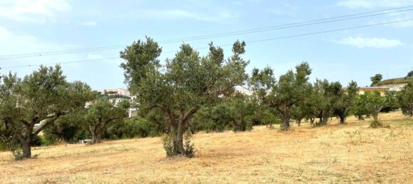 1670m² Land in Catanzaro, Italy No. 98730 2