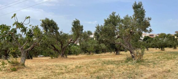 1670m² Land in Catanzaro, Italy No. 98730 3