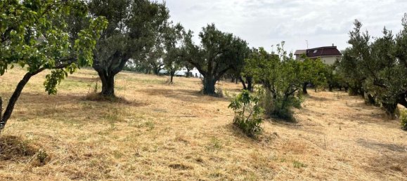 1670m² Land in Catanzaro, Italy No. 98730 6