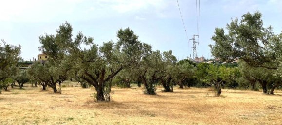 1670m² Land in Catanzaro, Italy No. 98730 4