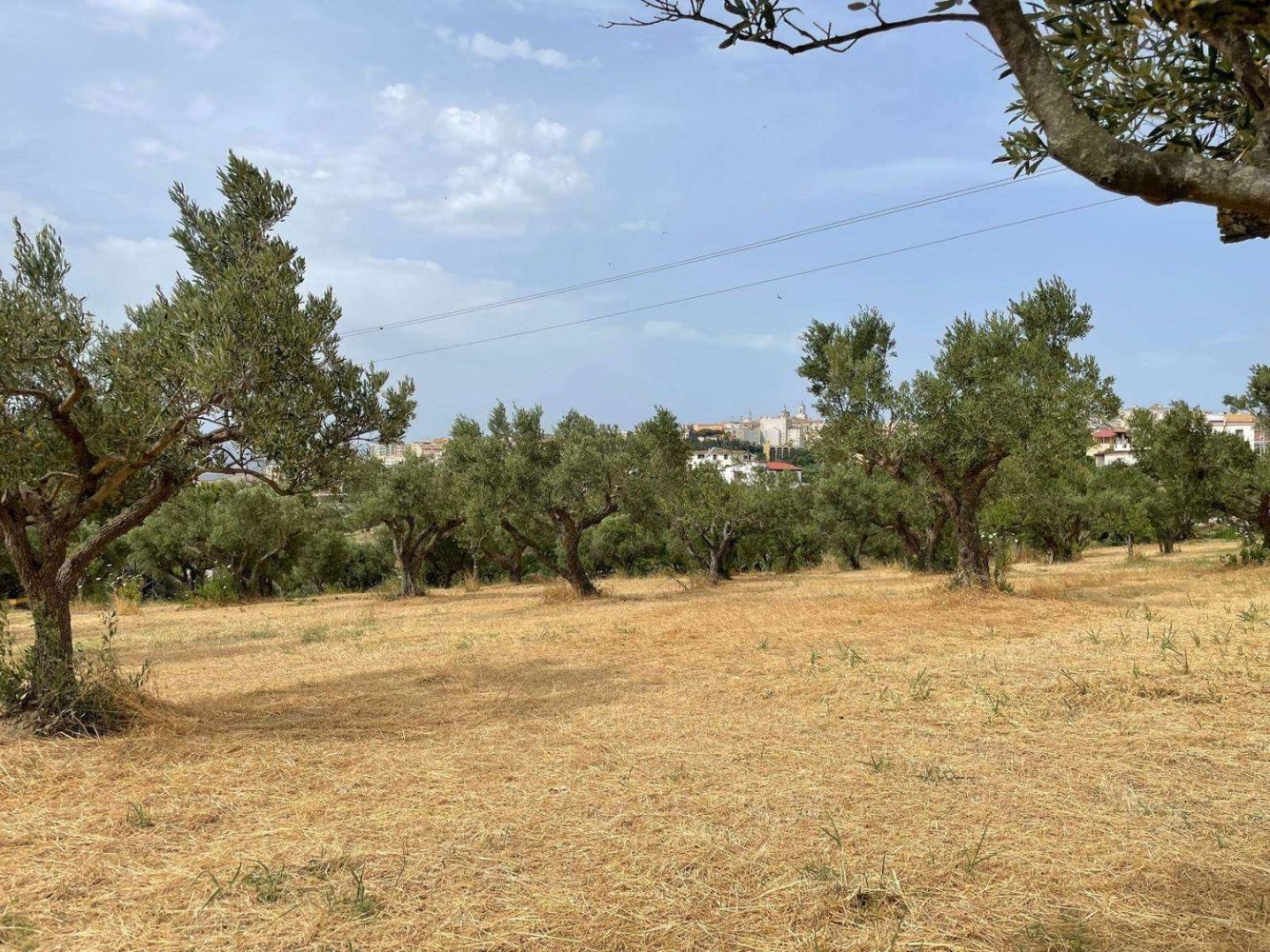 1670m² Land in Catanzaro, Italy No. 98730