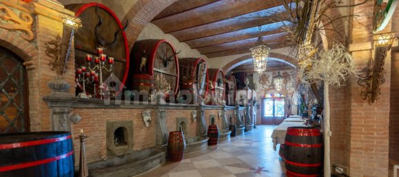 11 chambres Villa à Pisa, Italy No. 104585 13