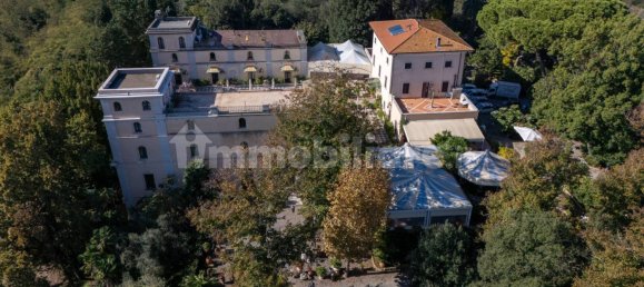 11 chambres Villa à Pisa, Italy No. 104585 33