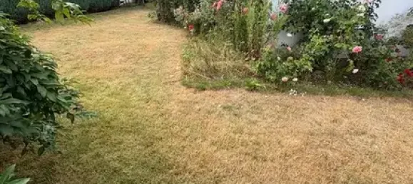 5غرفة منزل في Hoxter, Germany رقم 6503 8