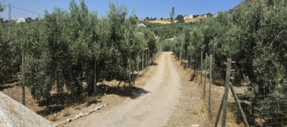 3 chambres Maison à Malaga, Spain No. 180930 21