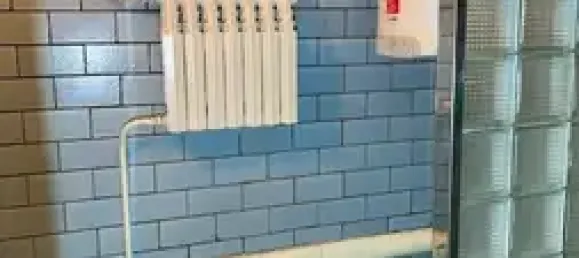 1 bedroom Land in Vogtlandkreis, Germany No. 246890 26