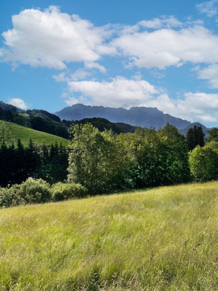 Grundstück in Hallein, Austria, Nr. 128414