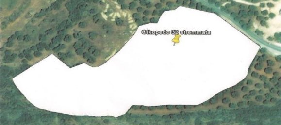  Hotel in Kefalonia, Greece No. 662 3