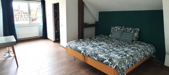 7 rooms House in Hagenthal-le-Bas, France No. 156632 13