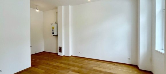 54m² Commercial property in Baden, Austria No. 216670 4