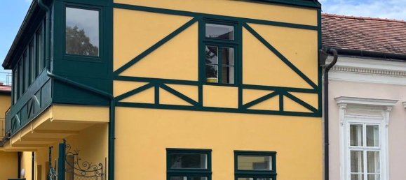 54m² Commercial property in Baden, Austria No. 216670 2