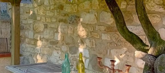 4 bedrooms House in Gard, France No. 318915 2