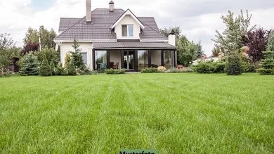 6 rooms House in Linz, Austria No. 259526