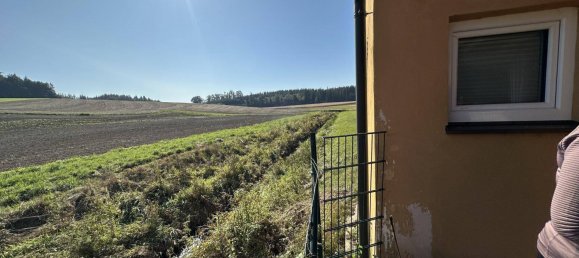 2 rooms Bungalow in Prambachkirchen, Austria No. 159270 3