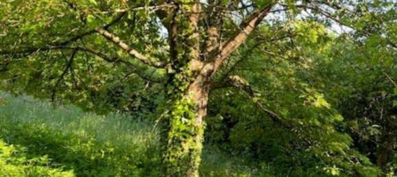 Terreno em Rems-Murr-Kreis, Germany N.º 291897 8