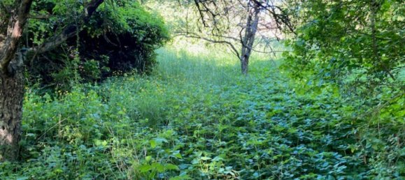 Terreno em Rems-Murr-Kreis, Germany N.º 291897 6