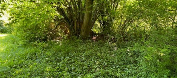 Terreno em Rems-Murr-Kreis, Germany N.º 291897 11