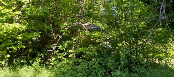 Terreno em Rems-Murr-Kreis, Germany N.º 291897 3