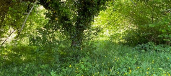 Terreno em Rems-Murr-Kreis, Germany N.º 291897 13