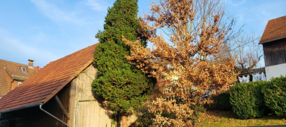 Adosado de 5 habitaciónes en Main-Kinzig, Germany No. 170366 3