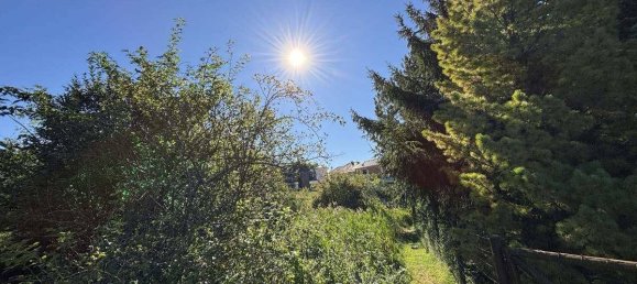 3-Zimmer Bungalow in Grünbach am Schneeberg, Austria, Nr. 248312 13