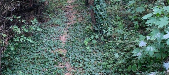 4-salle Maison à Ottakring, Austria No. 250441 47